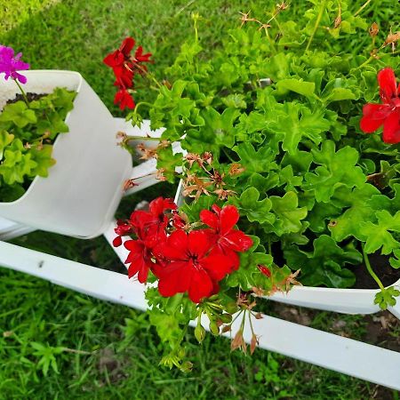 Vila Pushimi Regis Velipojë Екстериор снимка