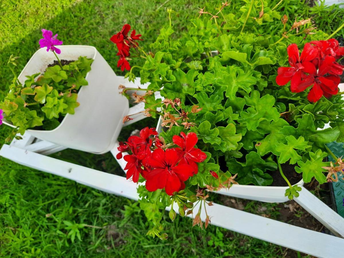 Vila Pushimi Regis Velipojë Екстериор снимка
