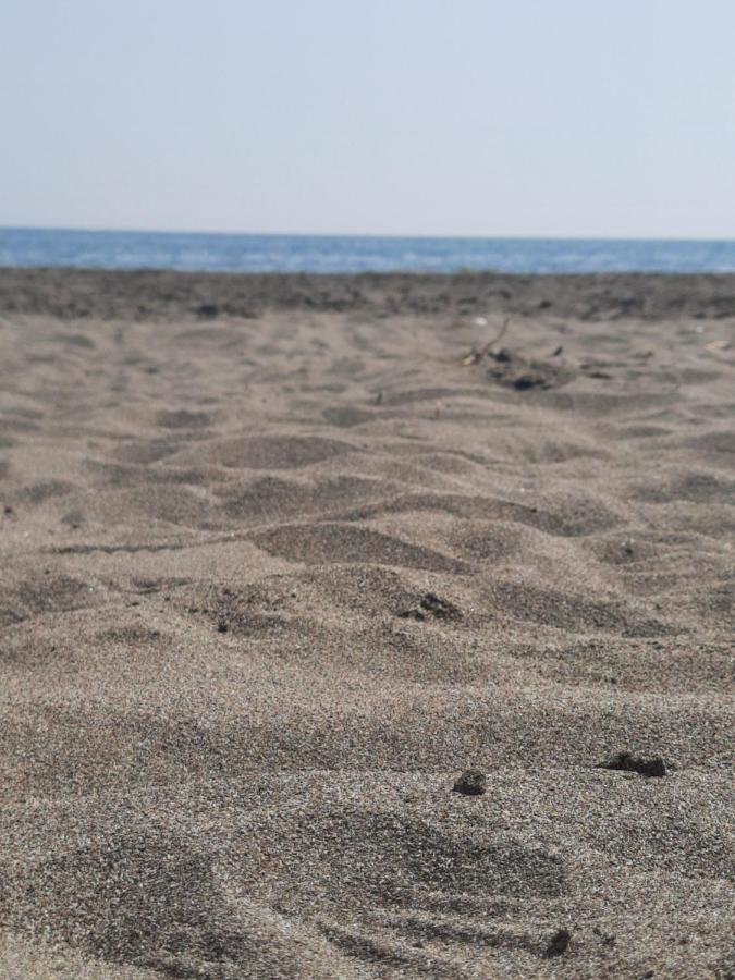 Vila Pushimi Regis Velipojë Екстериор снимка